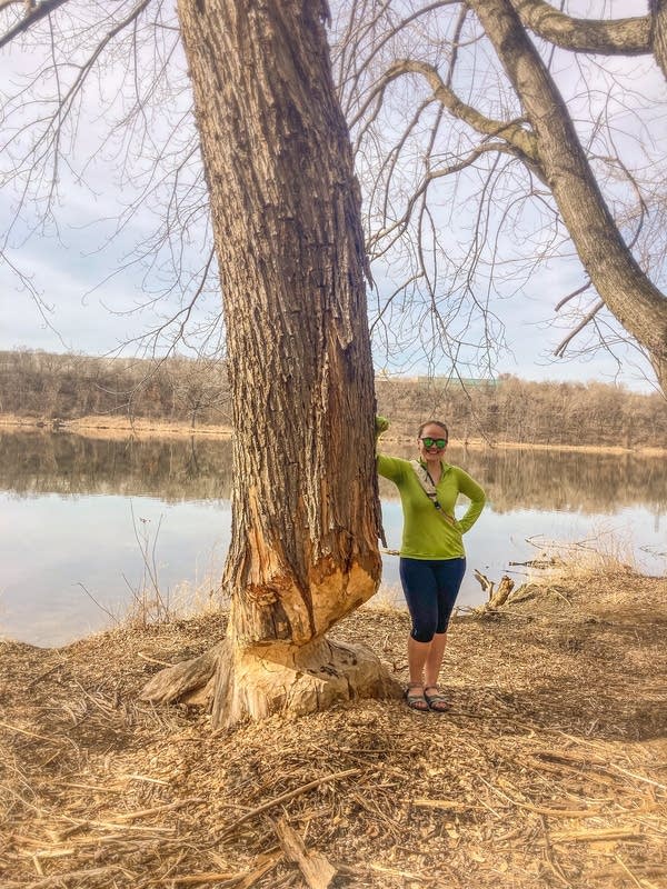 A woman stands next to a tree that has been gnawed on.