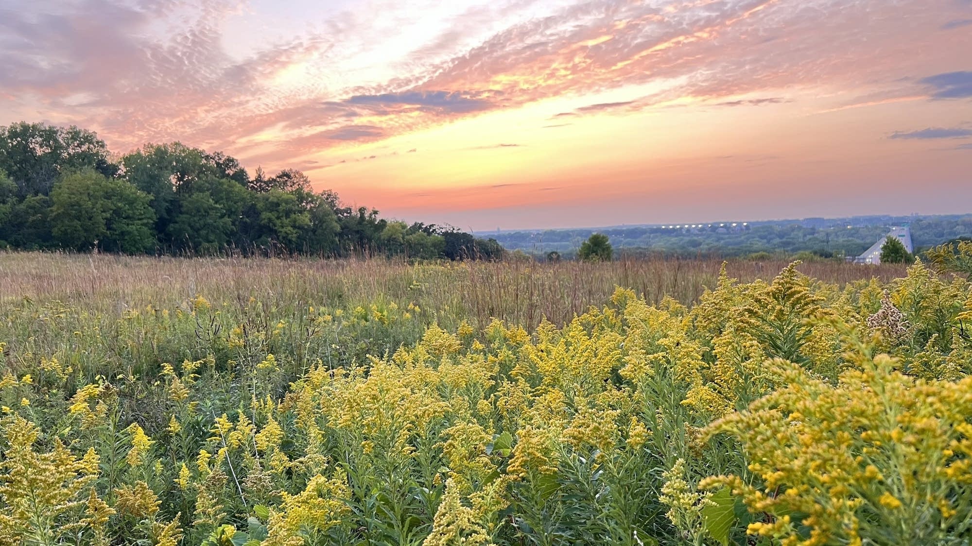 What impact does the American prairie have on our climate?