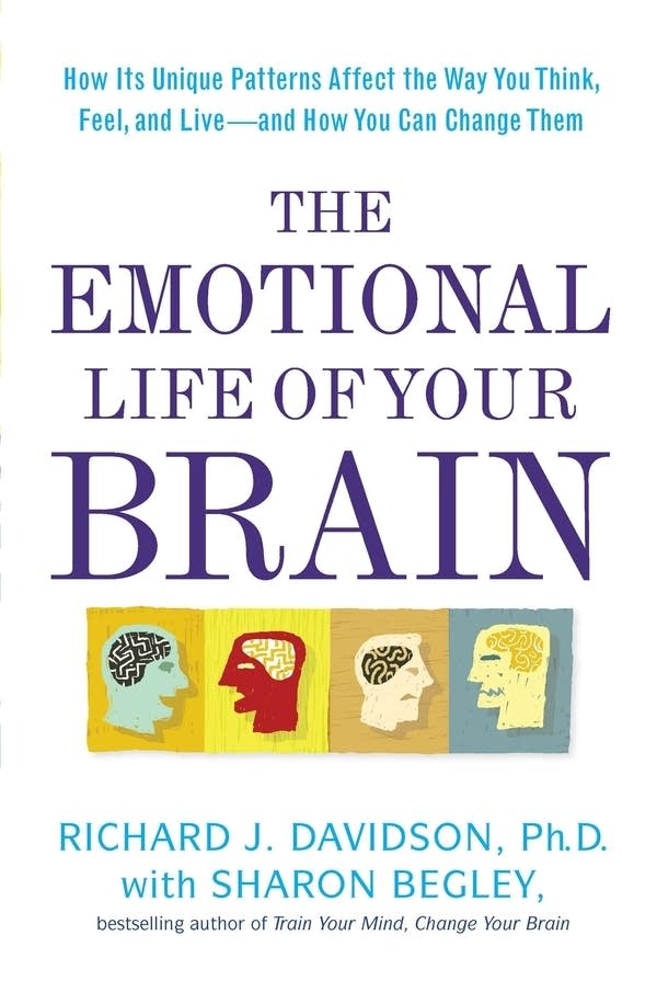 'The Emotional Life of Your Brain'