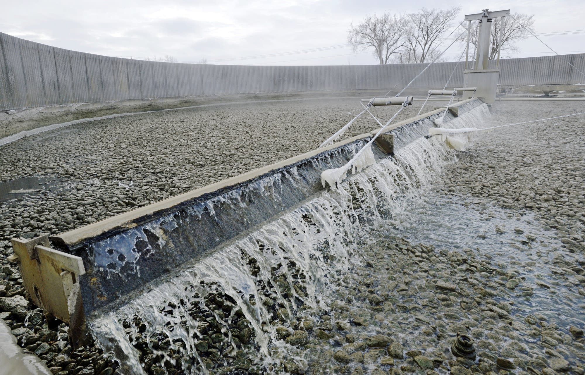 Bacteria living in a bed of rocks helps break down wastewater.