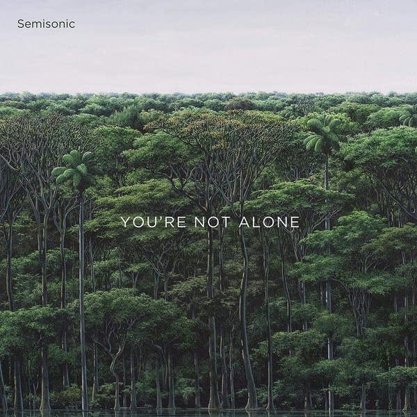 "You're Not Alone" is an EP by rock band Semisonic. It released on September 18, 2020.