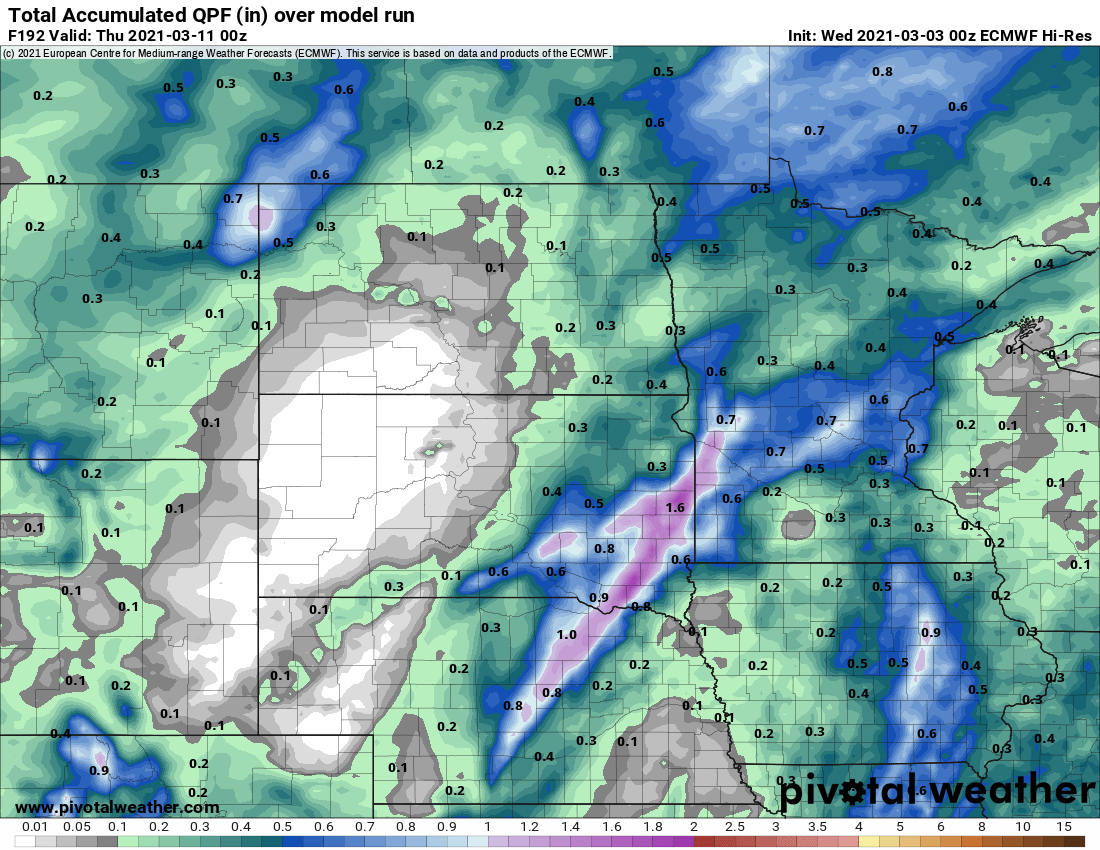 European model (ECMWF) precipitation output