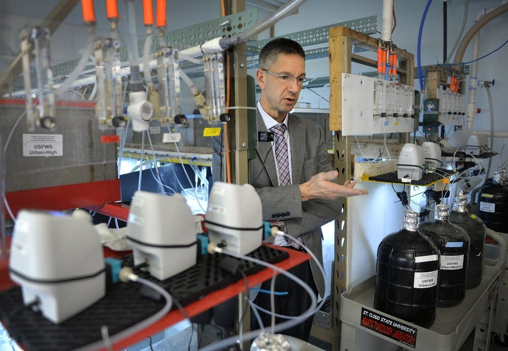 Professor Heiko Schoenfuss