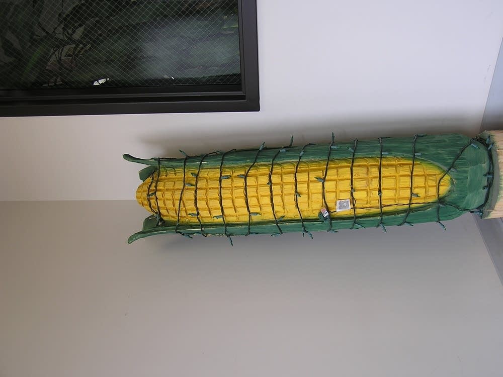 Big cornstalk