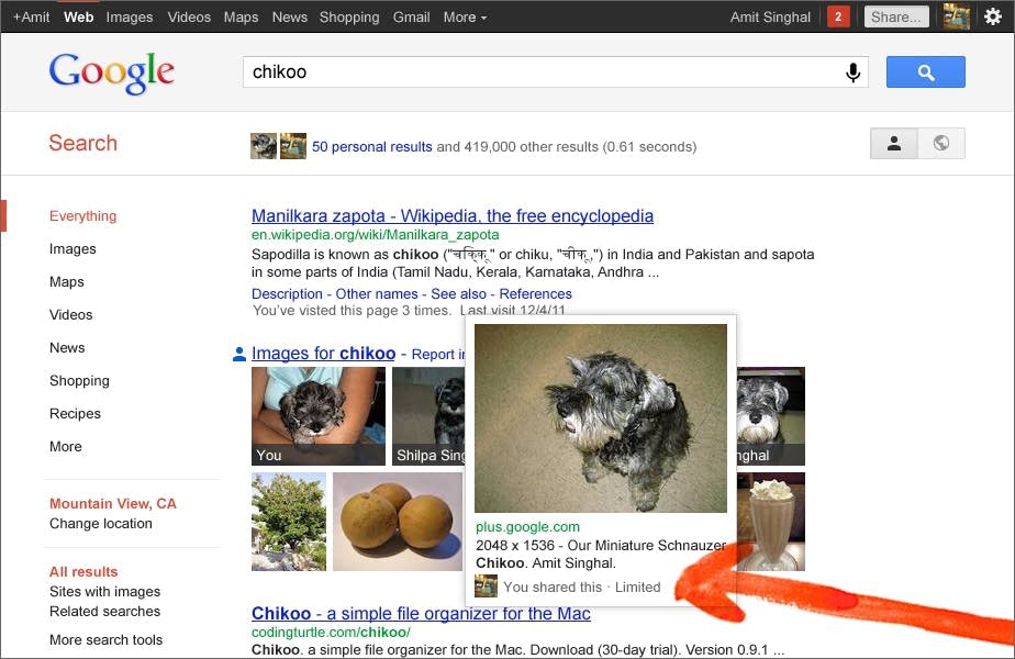Google Personal Results