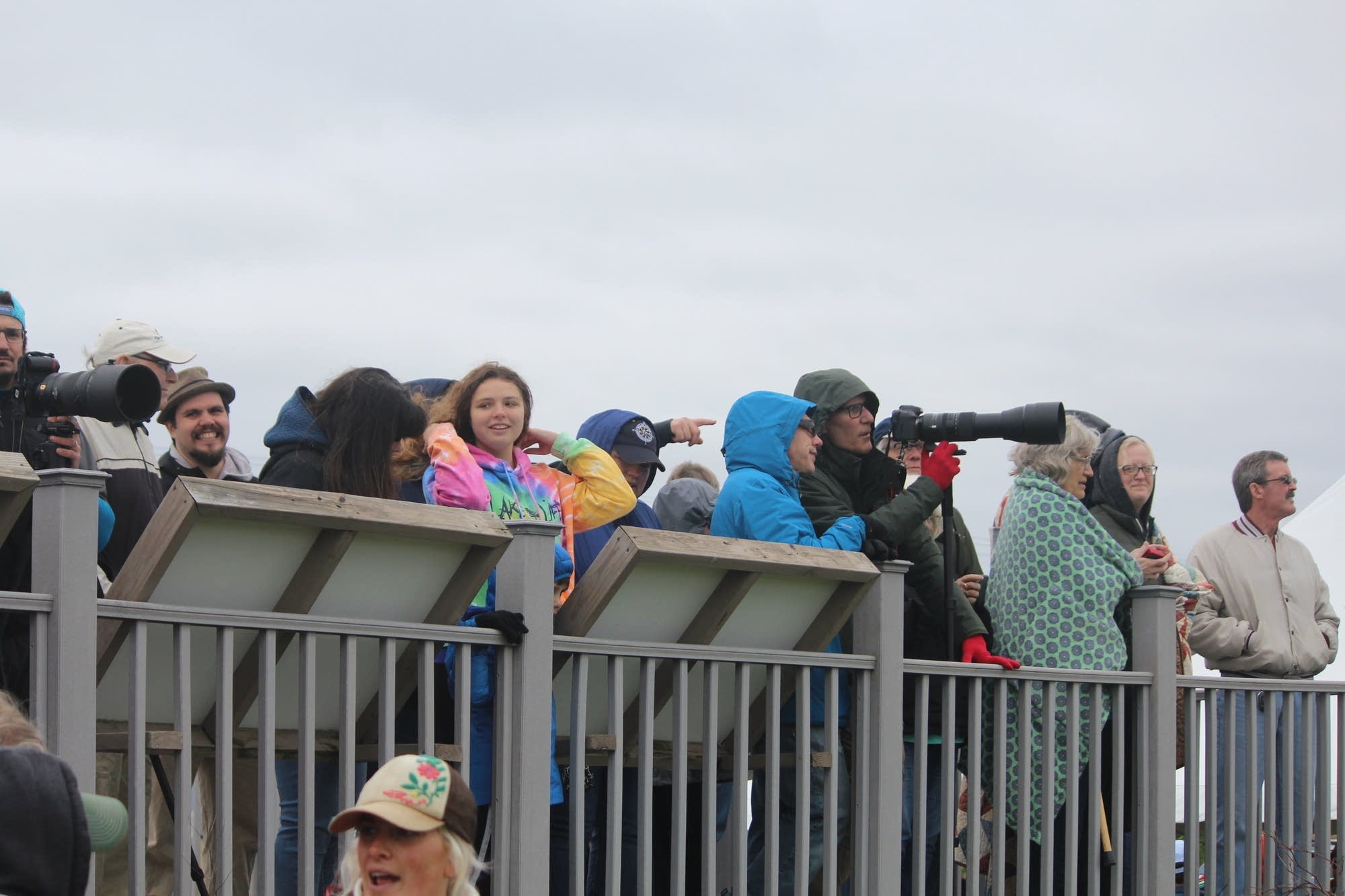 A crowd watches bison from atop an observation deck