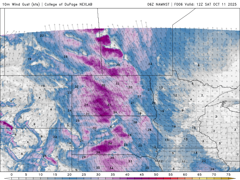 Windy weekend ahead with increasing rain chances