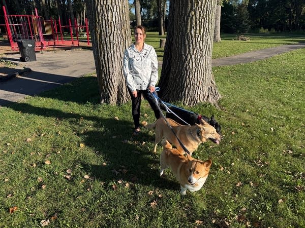 A woman holds the leashes of three dogs while standing in a public park.