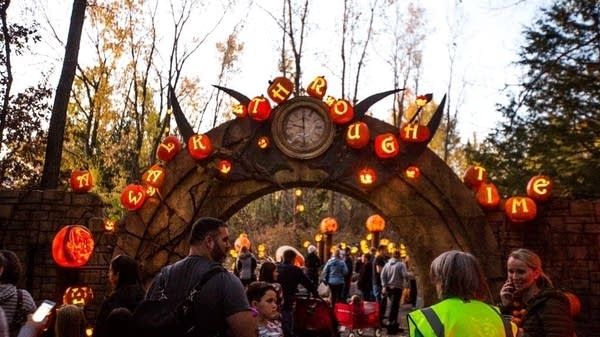 dd4b8a-20181019-zoo-pumpkins-