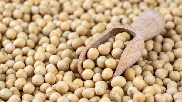 Too little, too late?