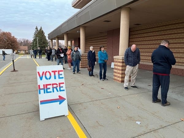 People wait in a line to vote