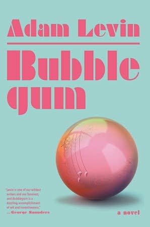 Ask a Bookseller: 'Bubblegum' offers a 'wonderous slog'