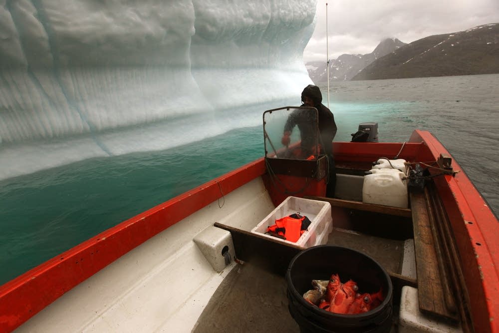 Iceberg