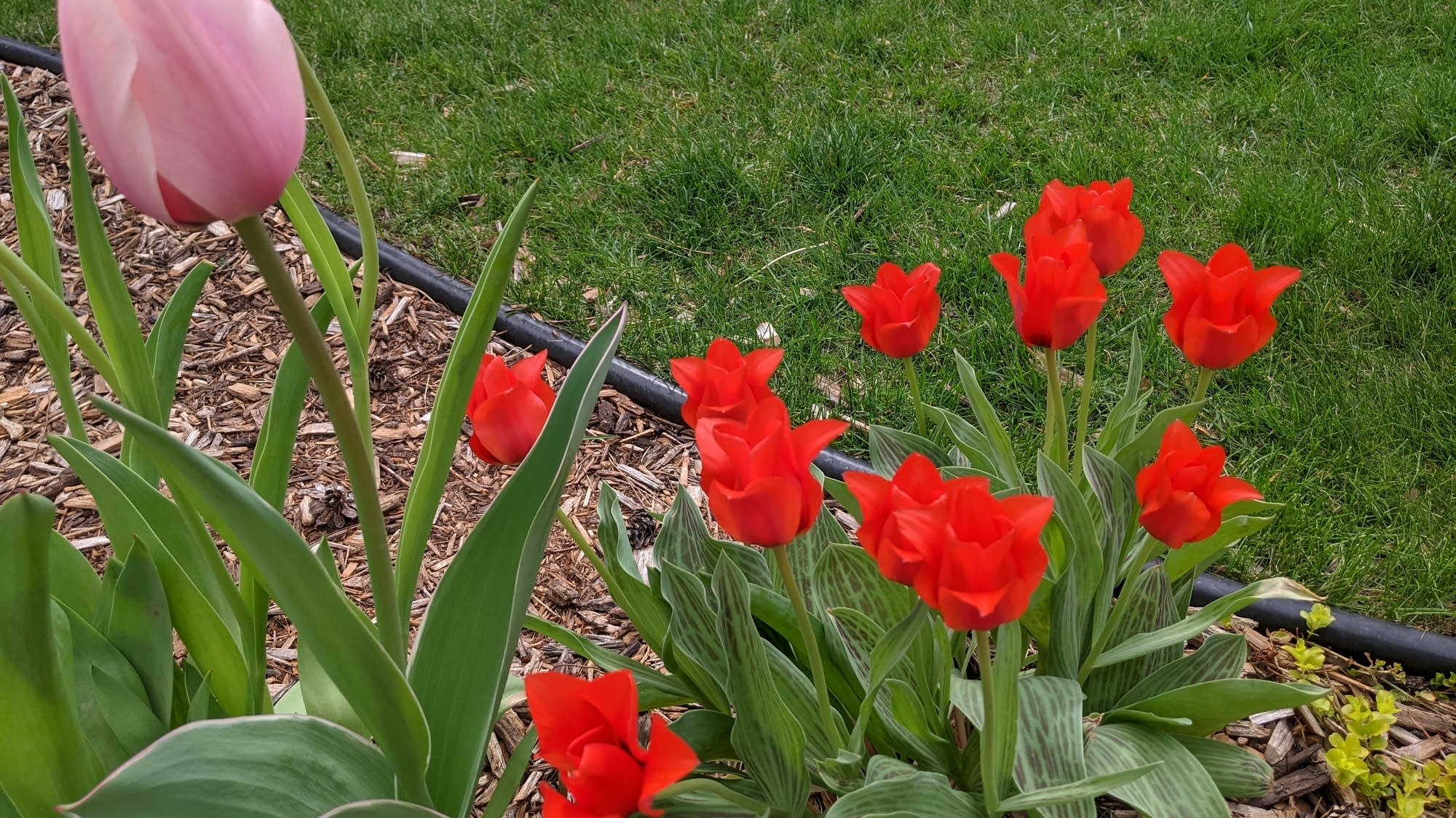 Meteorological spring report card MPR News