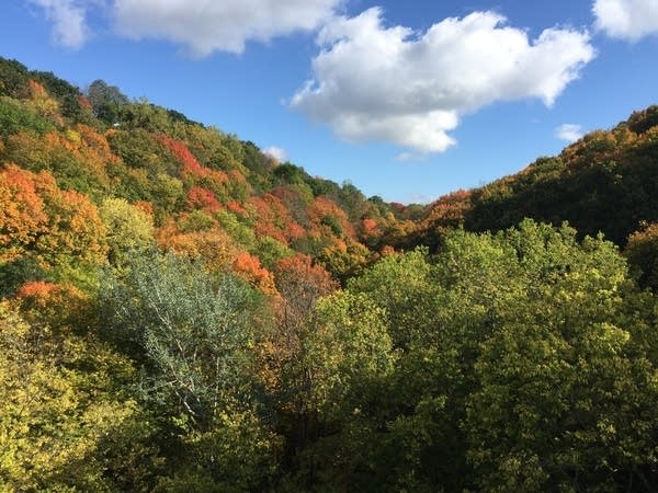 Temps retreat on Tuesday; Wednesday looks soggy