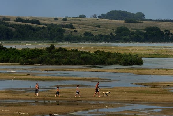 Four people and a dog walk along river flats on a summer day