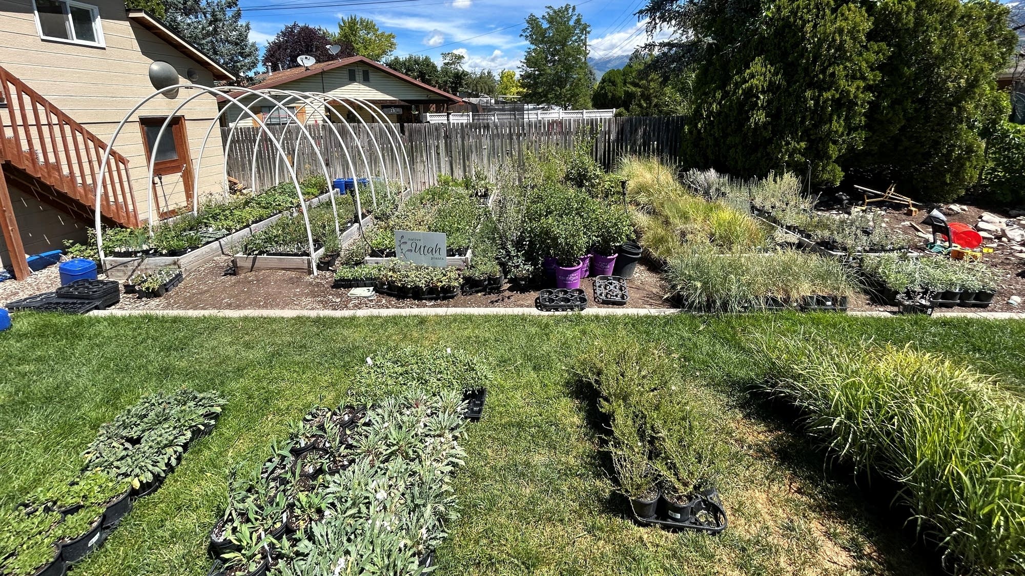 How homeownership turned an HR professional into a plant entrepreneur