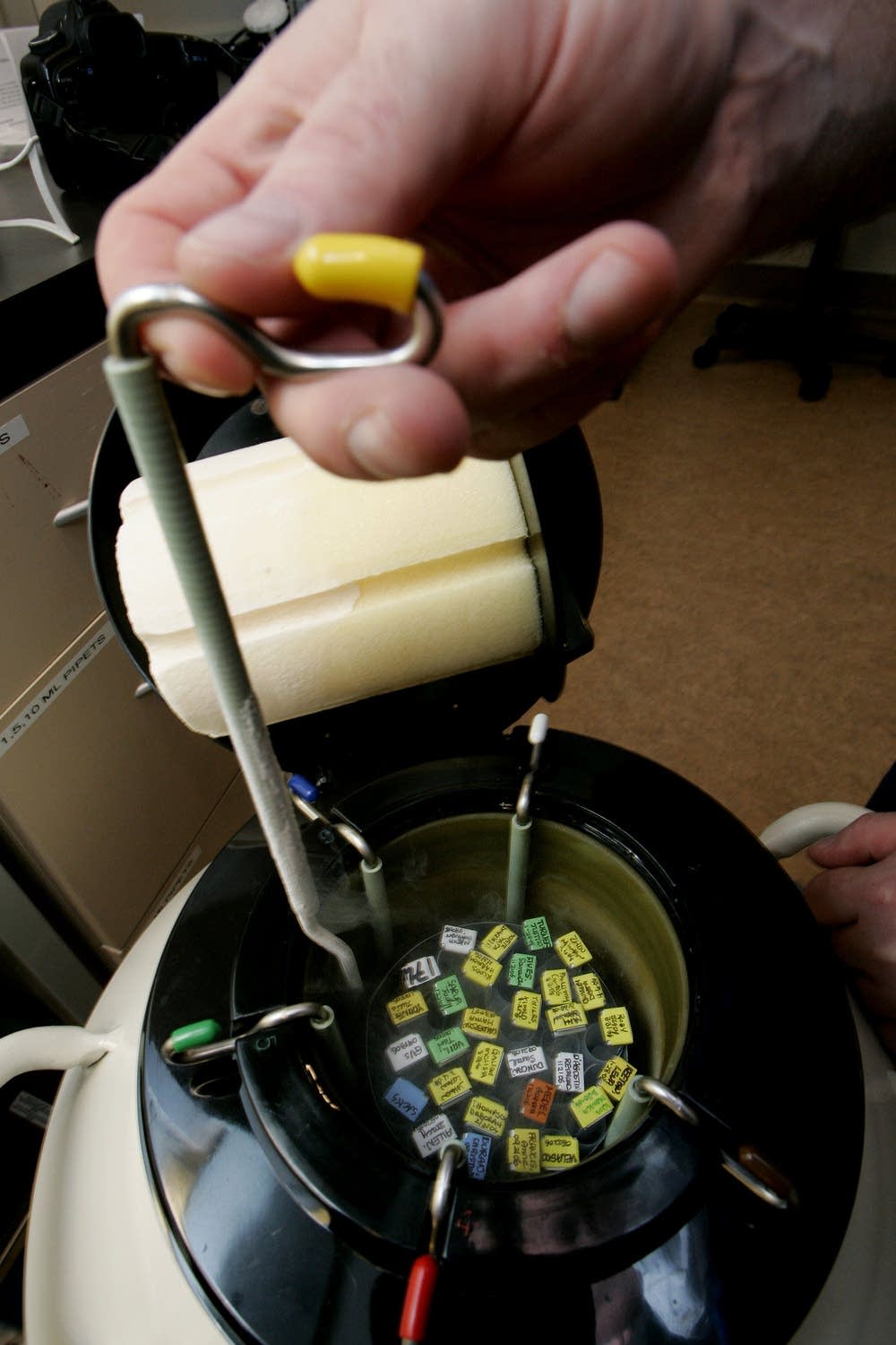 Human embryos in frozen storage