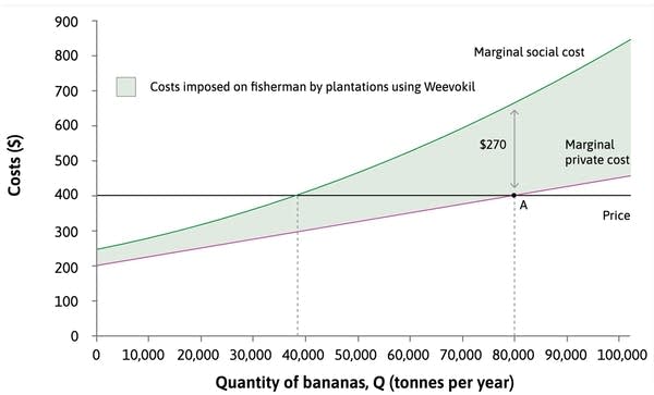 A chart shows banana production in the x-axis and costs in the y-axis. A pink line shows the growers costs, which start at $200 increase steadily with each additional tonne of fruit produced per year. Growers have set the price at $400 per tonne to maximize profits. But there’s another green line,…