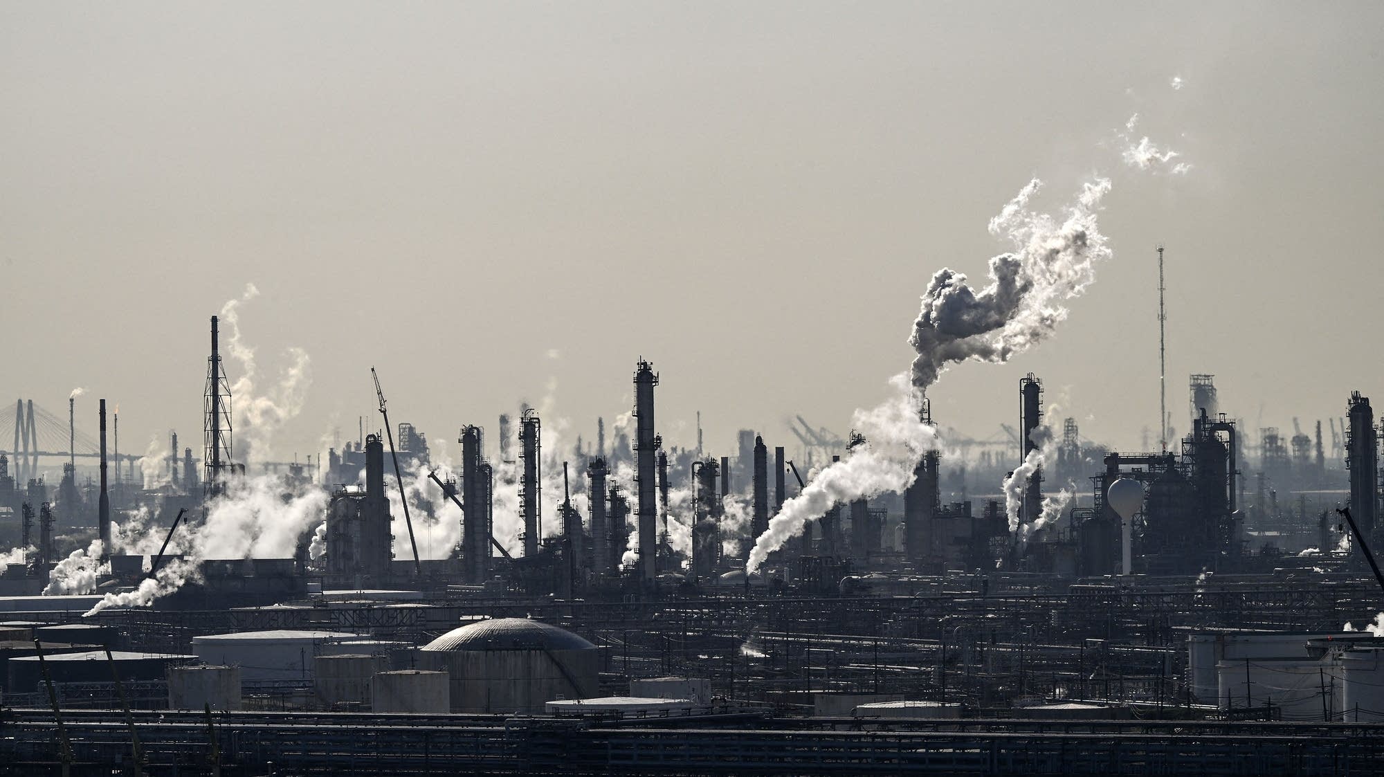 Oil Rancidiry A wild ride for oil prices