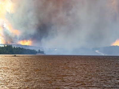 Wildfire