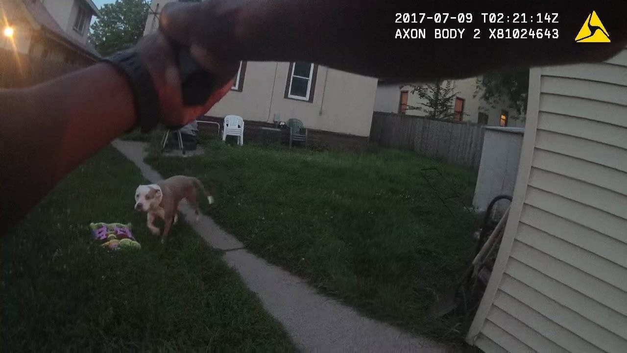 Body cam video shows new angle on Minneapolis cop shooting dogs MPR News