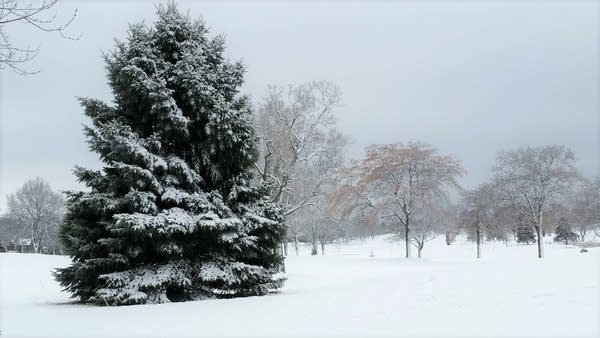 Seasonal temps on Sunday; Update on the upcoming winter storm