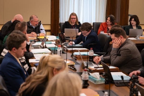 A large group sits in a committee.