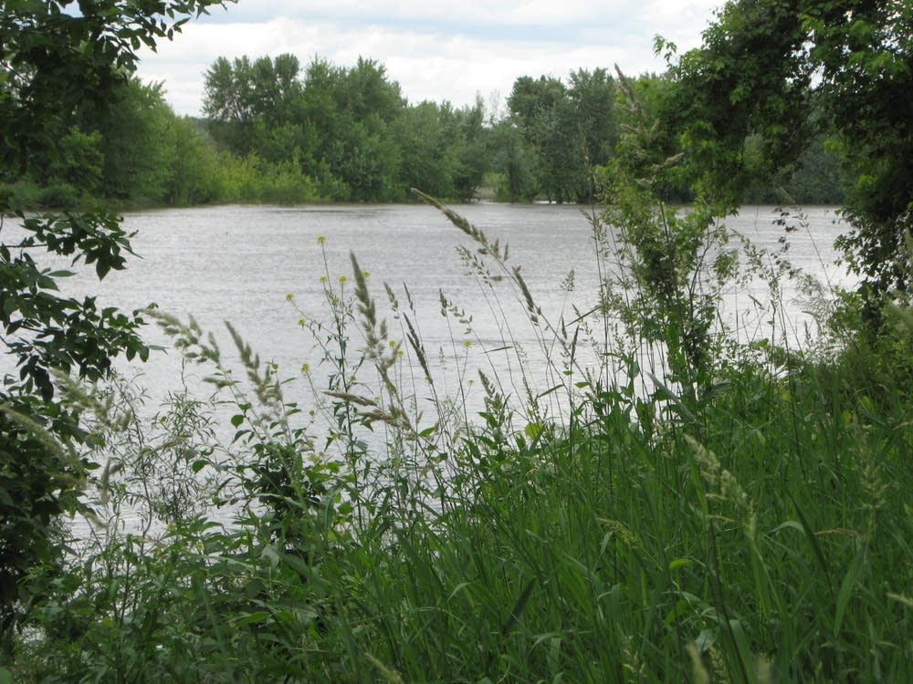 Minnesota River