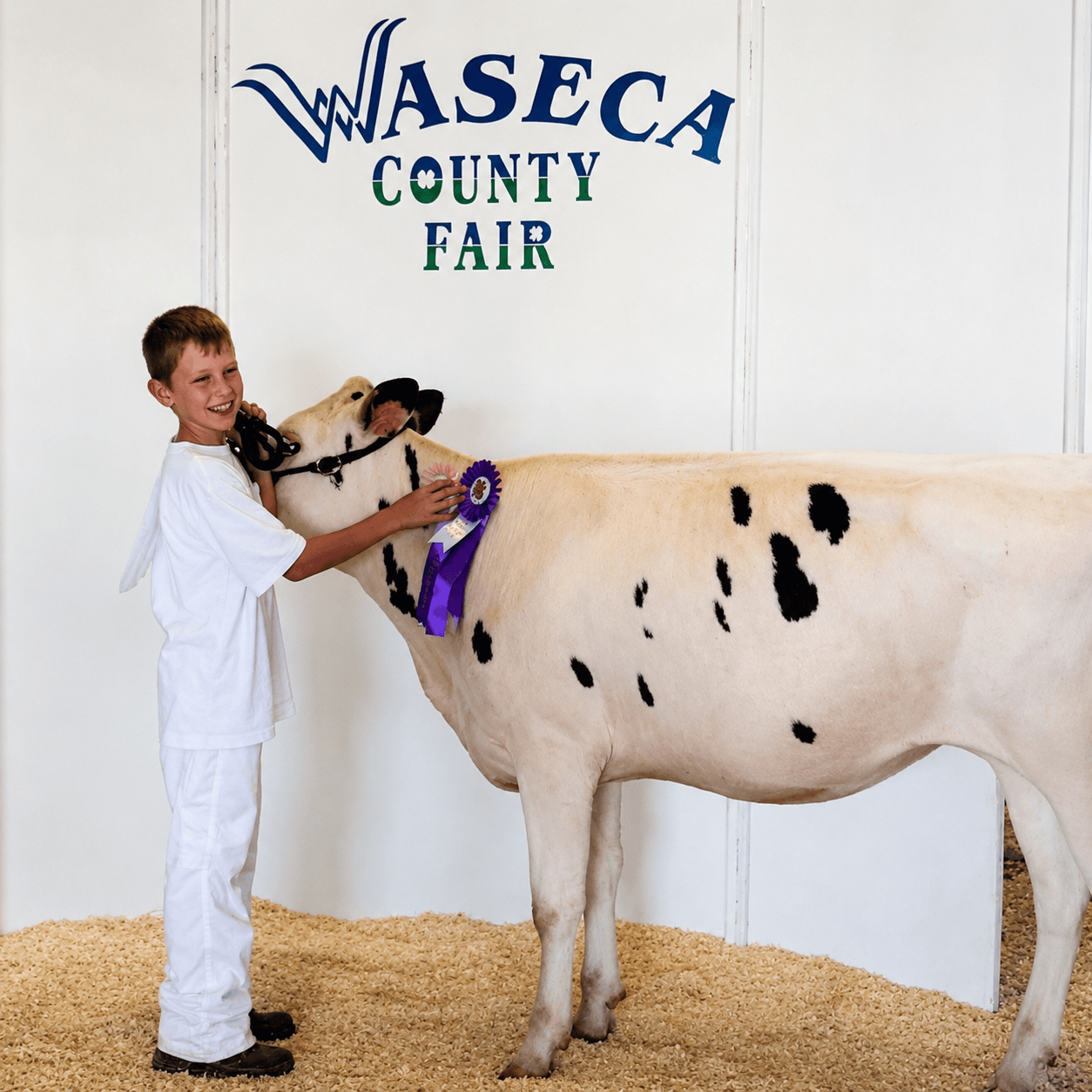 A child by a cow
