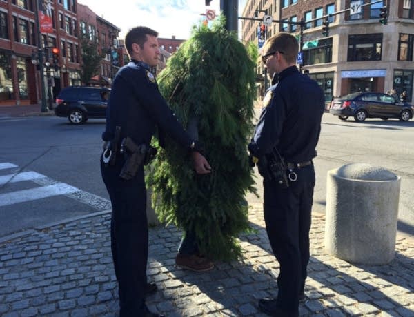 Here’s the deal with ‘tree guy’