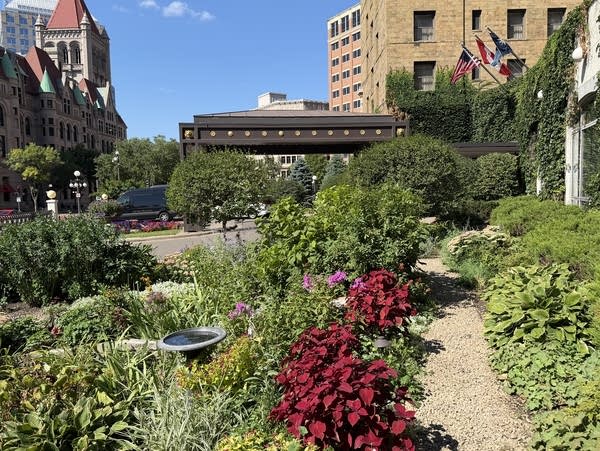 Gardens amid city buildings