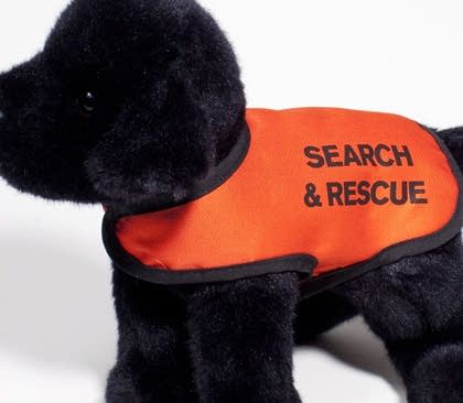 searchandrescuedog