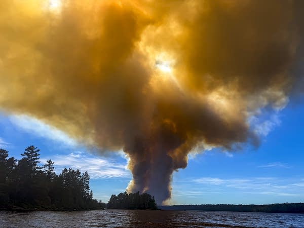 Wildfire