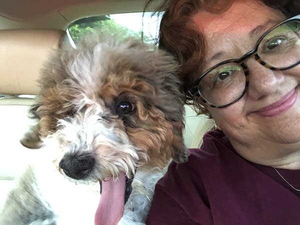 Therapy dog