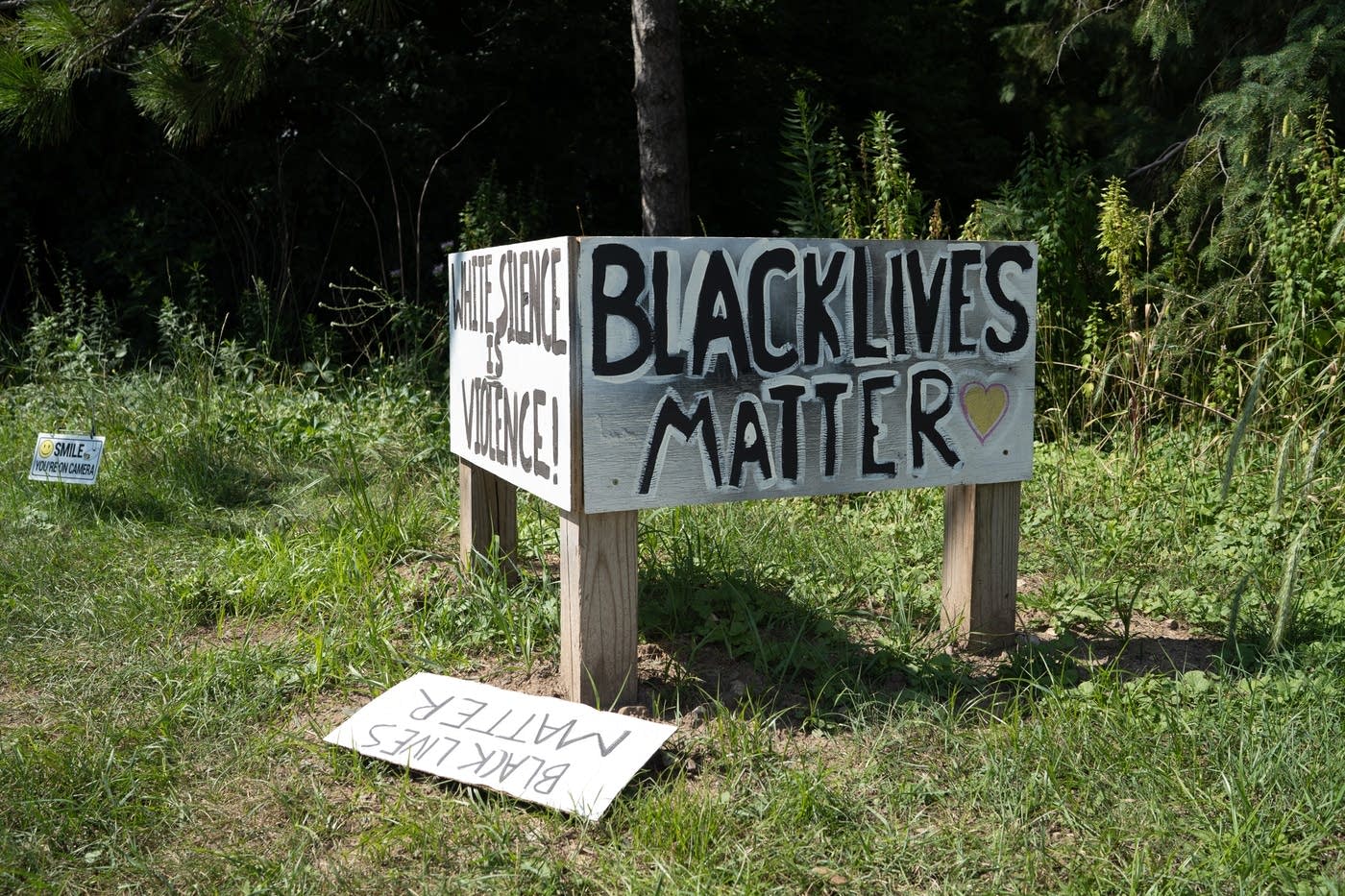 Raccoon Nailed Near Black Lives Matter Sign In Roseville Police 