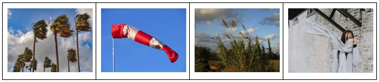 wind