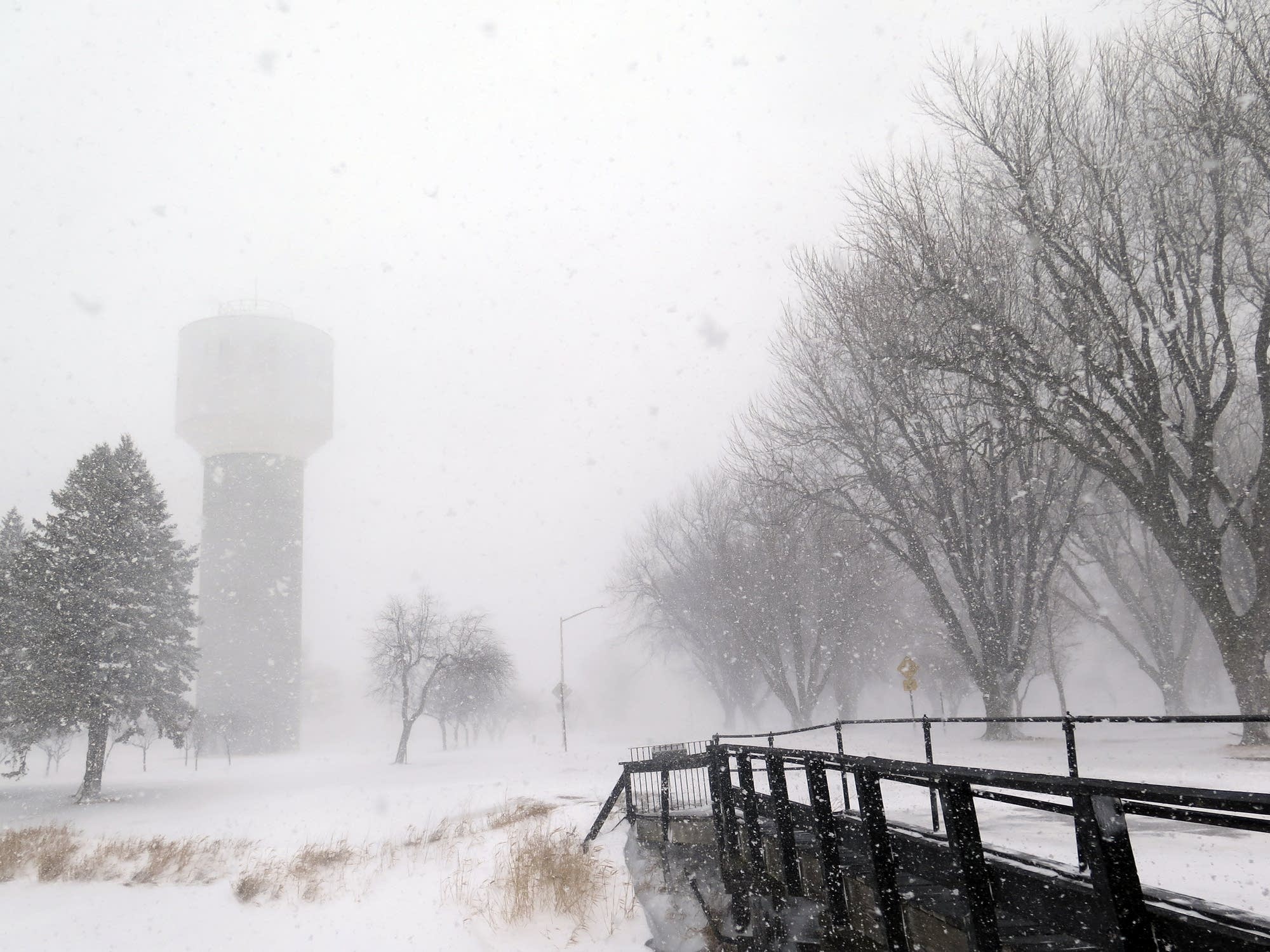 Photos The first real snowstorm of the year blasts southern Minnesota