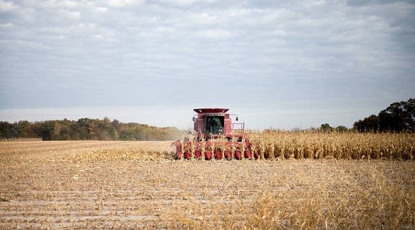 Who will grow our food?