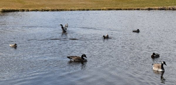 Weekend weather: Wet Saturday into Sunday morning; cool temps