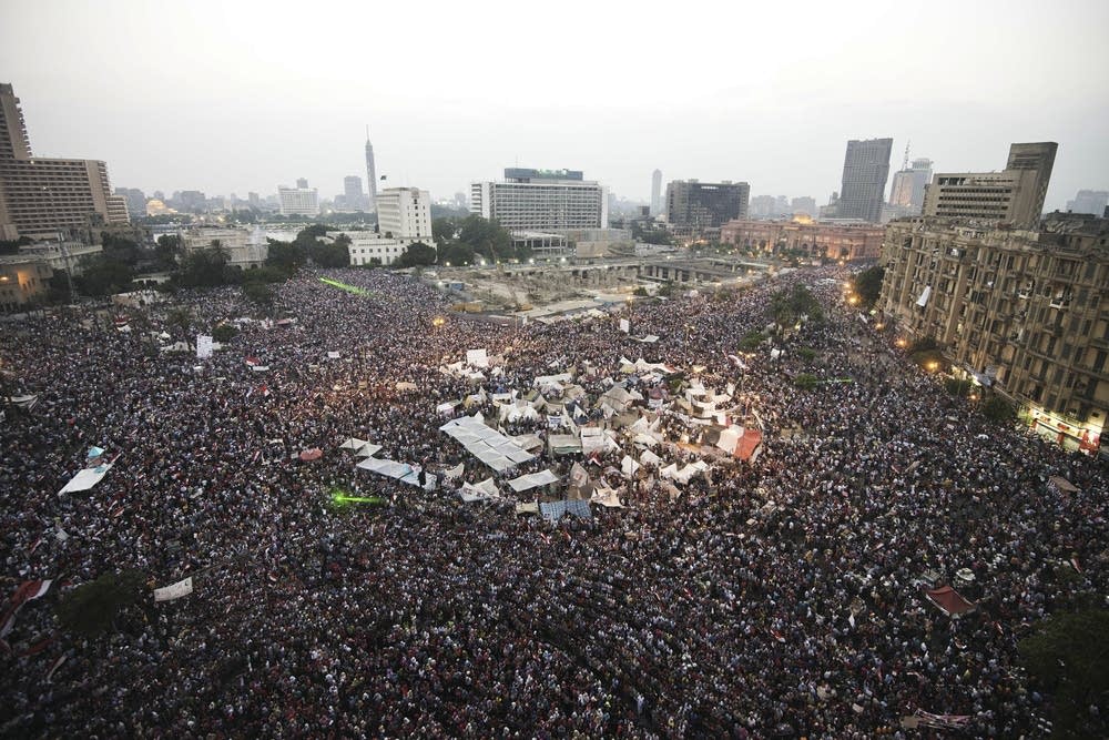 Egyptian protesters