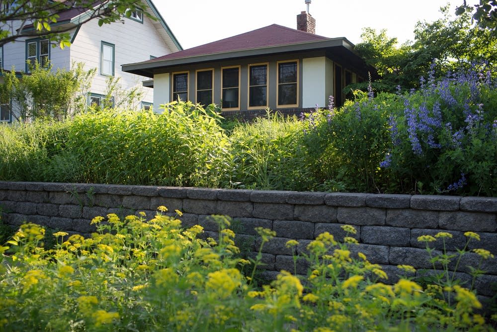 How to plant a pollinatorfriendly garden Minnesota Public Radio News