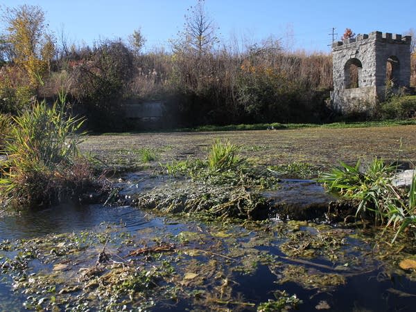 Water emerges from underground at a spring
