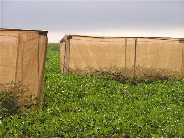 Field cages