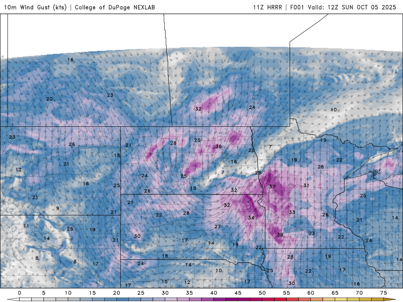 Wind speed and direction for Sunday 7 a.m. to 10 p.m.