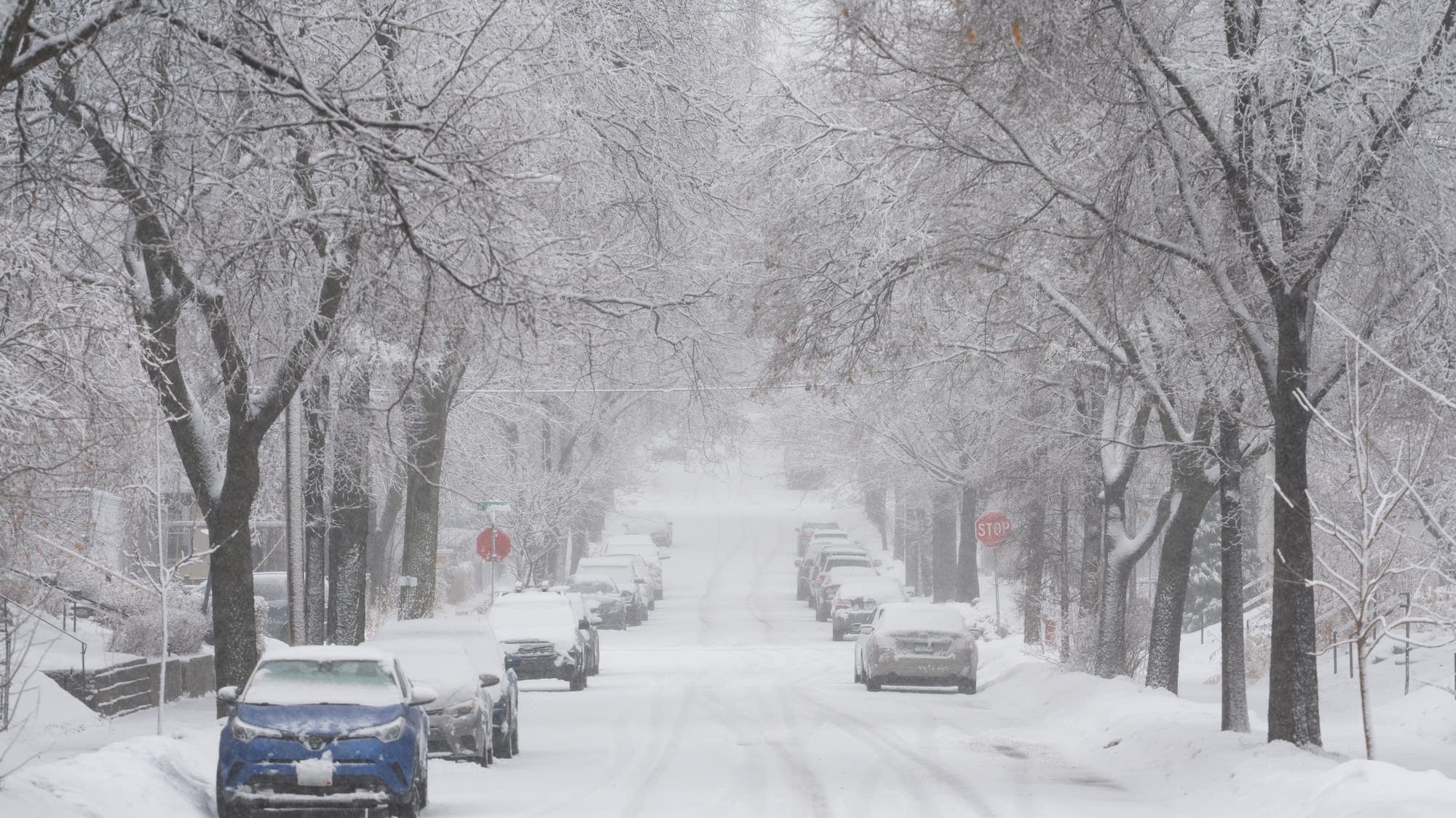 Meteorologists blame a stretched polar vortex, moisture, lack of sea ice for dangerous winter blast