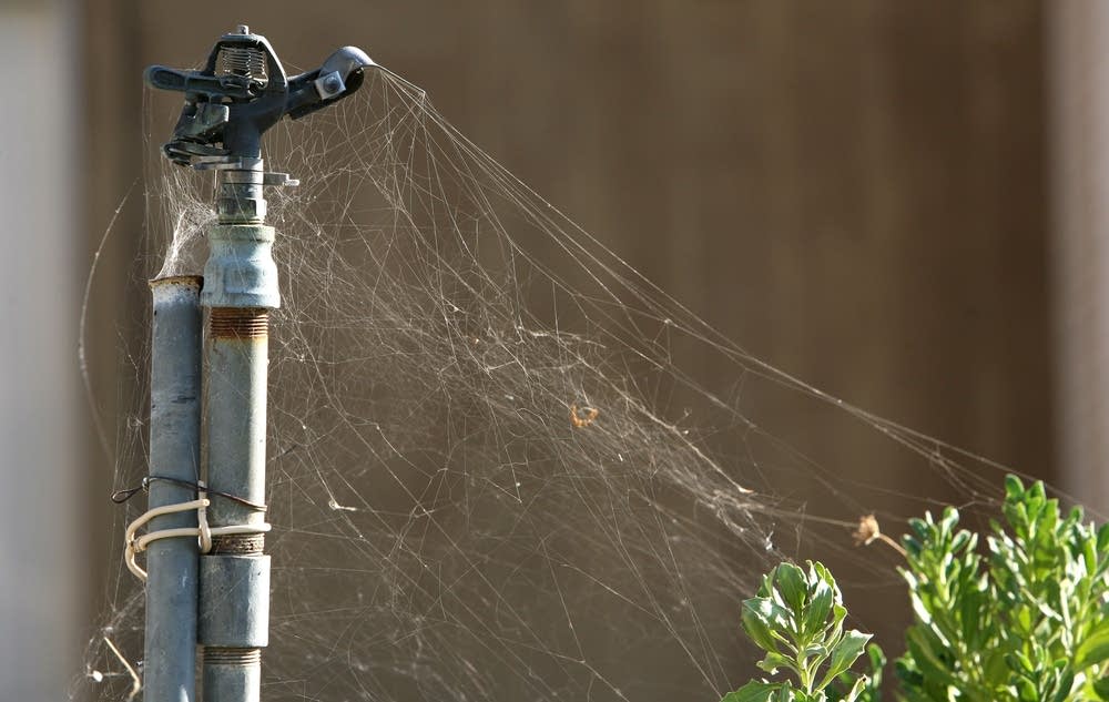 Sprinkler