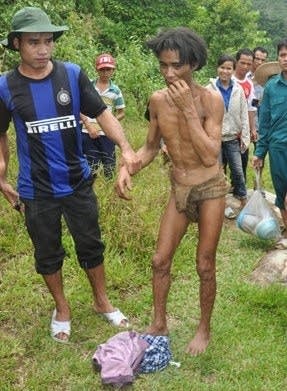 vn_forest_son
