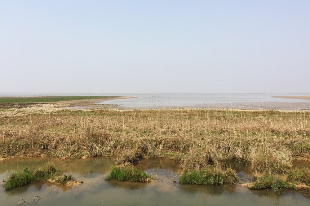 Poyang Lake