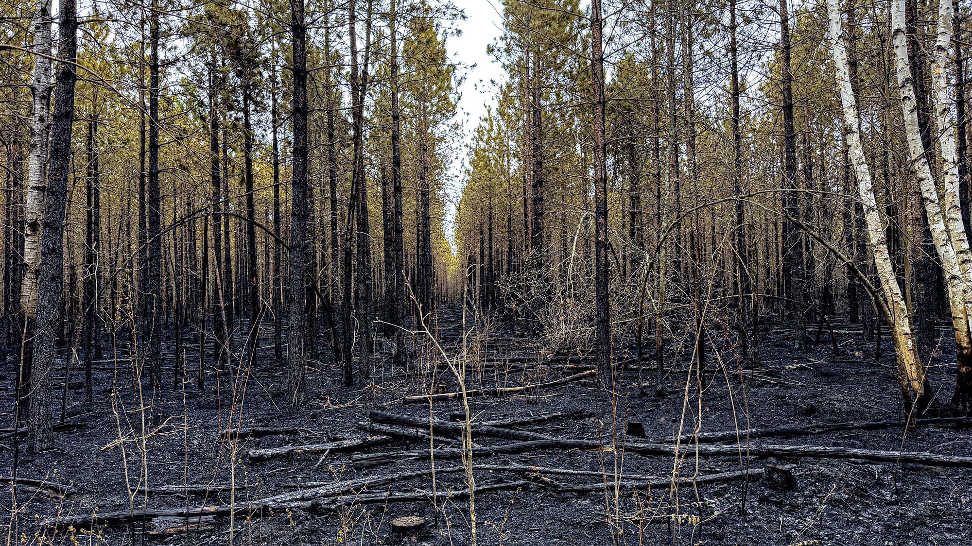 Flanders wildfire battle winding down